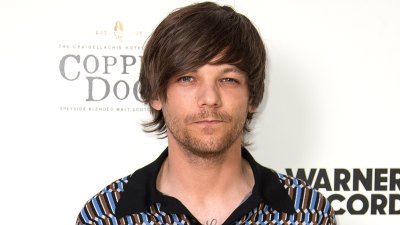 Louis Tomlinson Cancels Record Signing After 'Terrible' Broken Arm