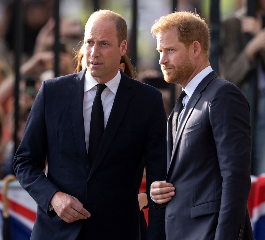 Prince Harry Reveals the Joke He Shared With Prince William at Queen Elizabeth II's Funeral: Details