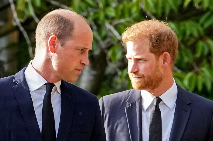 2023 À l'intérieur de la relation compliquée entre le prince William et le prince Harry au fil des ans