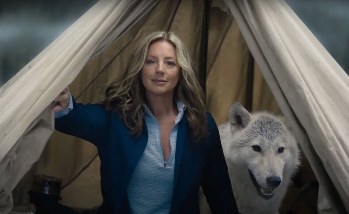 Stars in Super Bowl 2023 Commercials: Alicia Silverstone, More