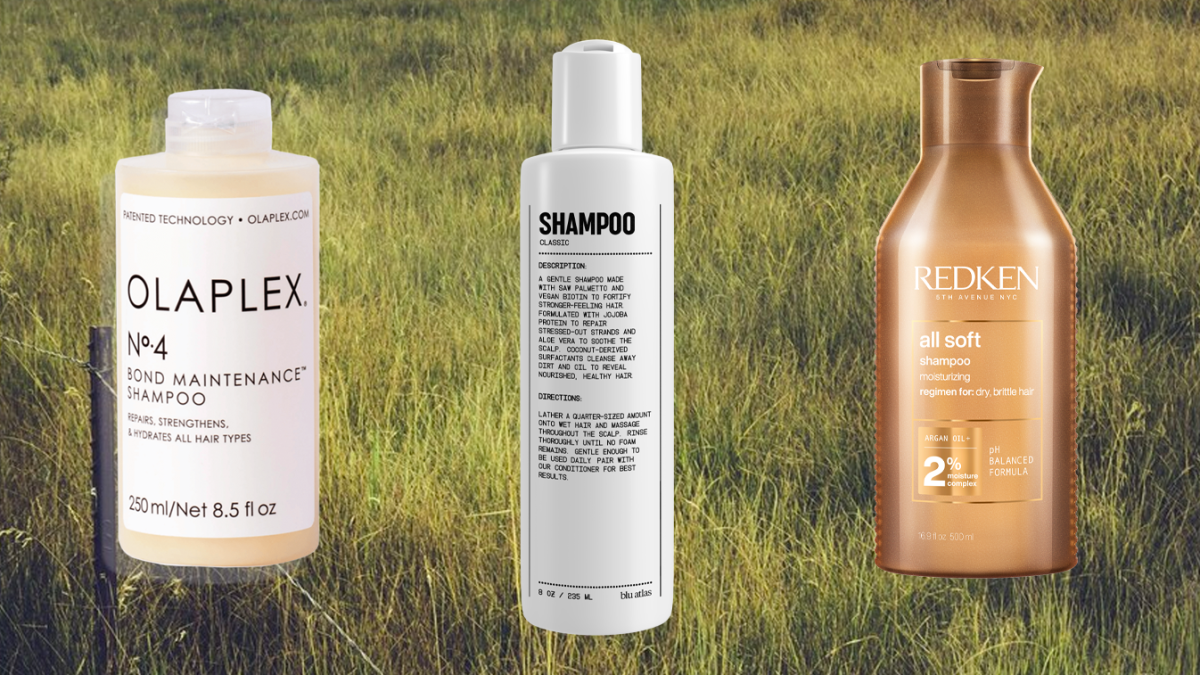 Hair Care Ingredients For Smooth Hair - Nexxus US