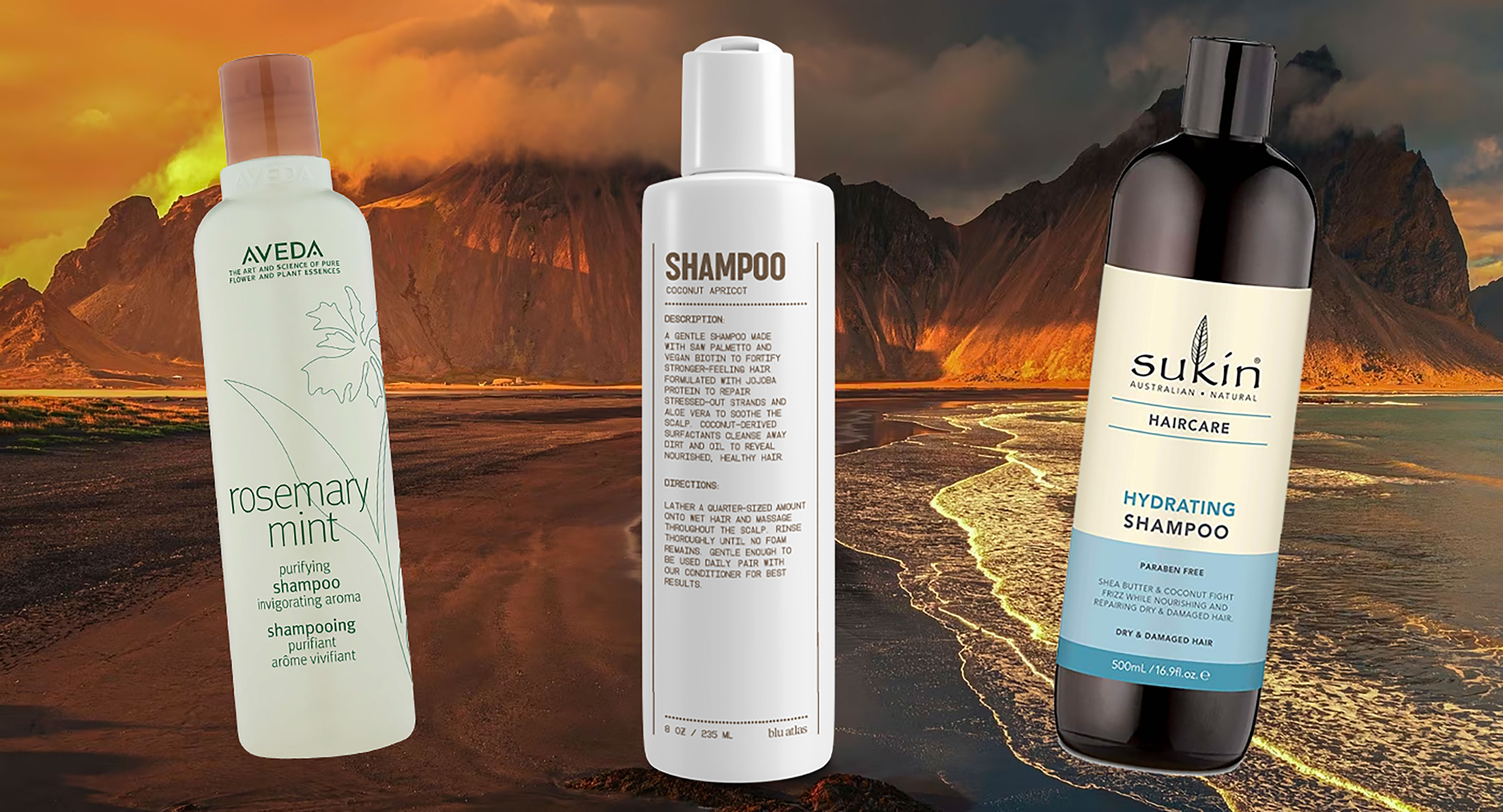 Clean shop shampoo brands