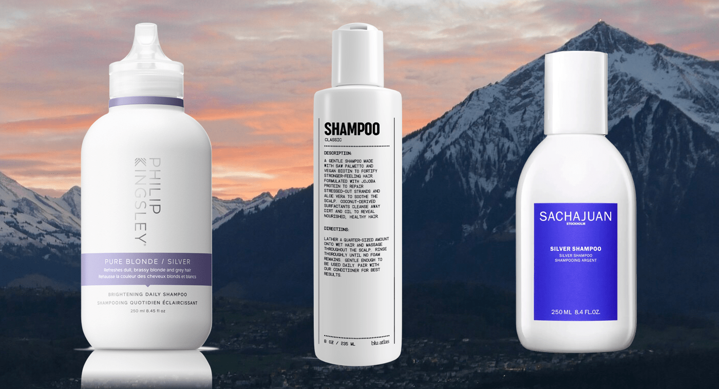 best-shampoo-gray