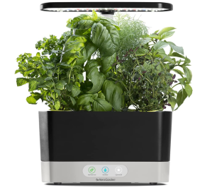 AeroGarden Harvest with Gourmet Herb Seed Pod Kit