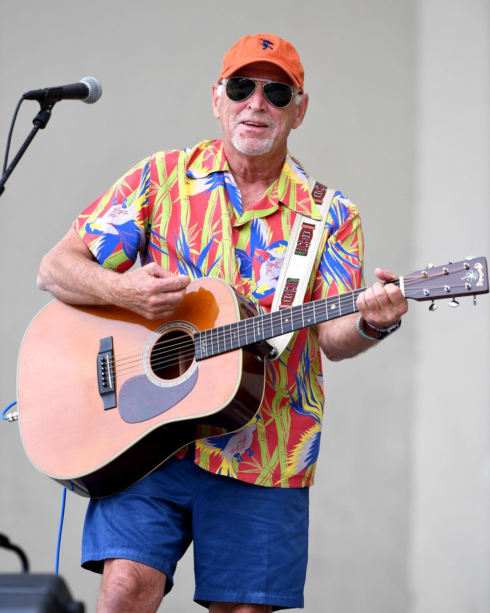 Jimmy Buffett Postpones Show After Hospitalization for Medical