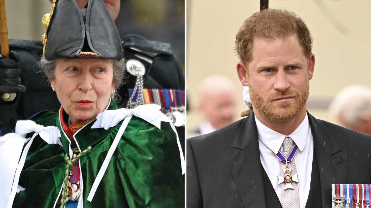 Princess Anne to join King Charles in show of force to meet Blues and Royals, Royal, News