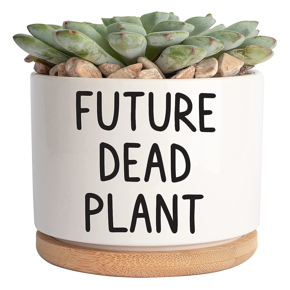 https://www.usmagazine.com/wp-content/uploads/2023/05/hilarious-mothers-day-gifts-amazon-future-dead-plant.jpg?w=1000&quality=86&strip=all