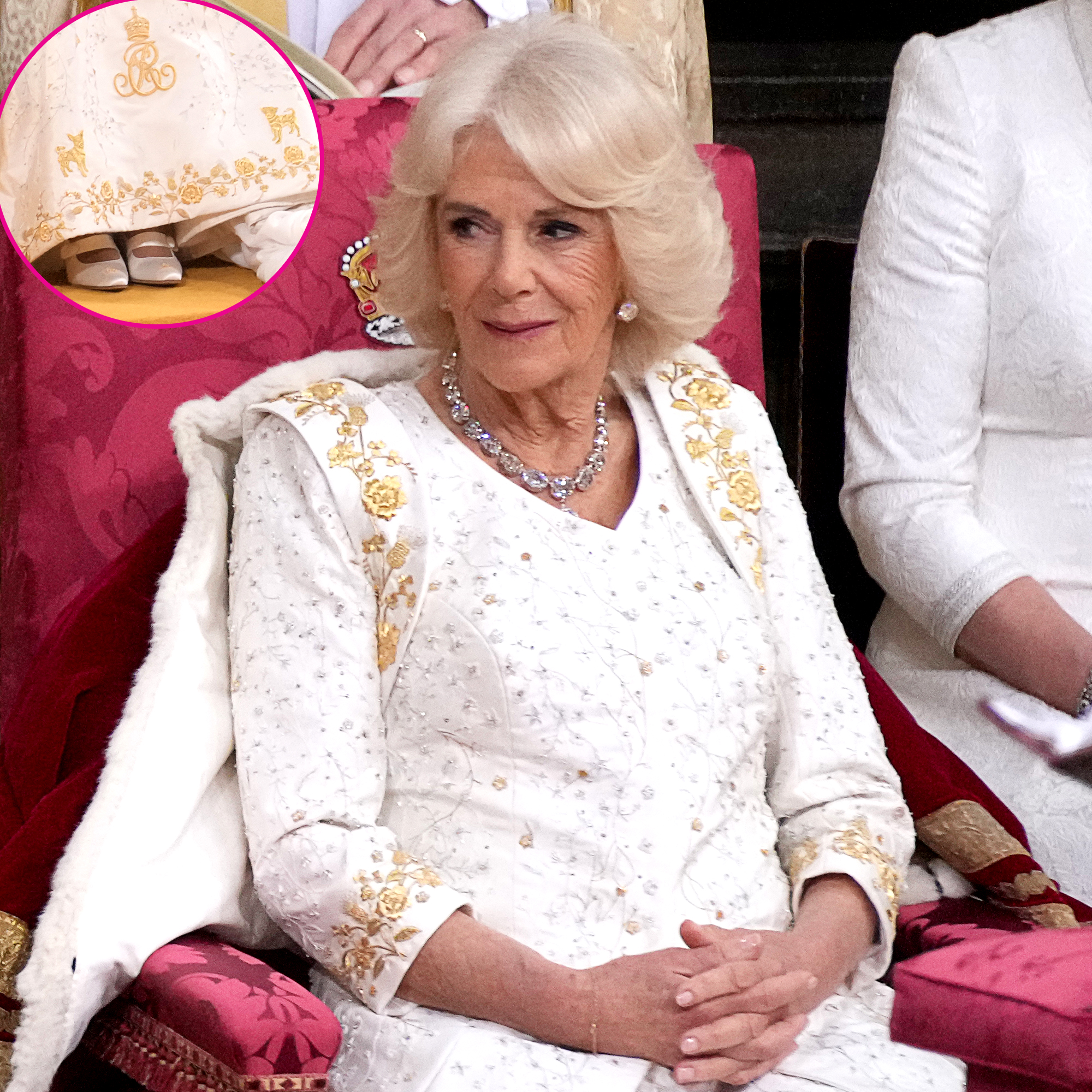 Queen Camilla s Coronation Gown Honors Her King Charles Dogs