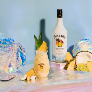 pina colada kit