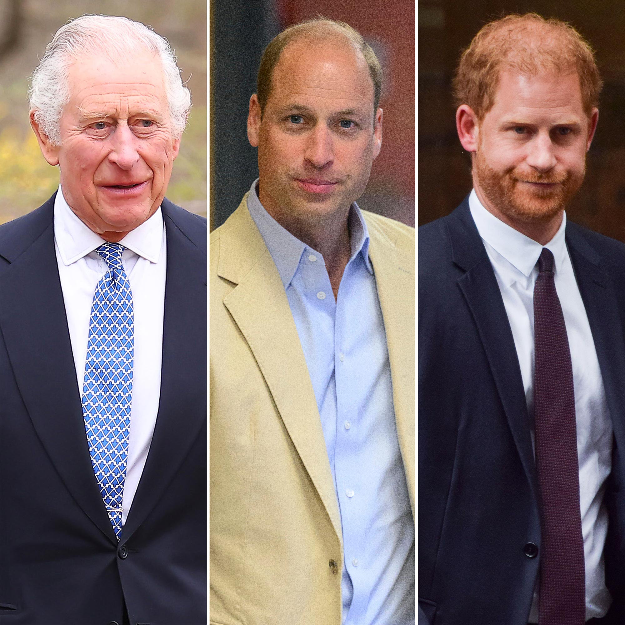 Prince Harry, King Charles Have Taken Baby Steps in Mending Relationship