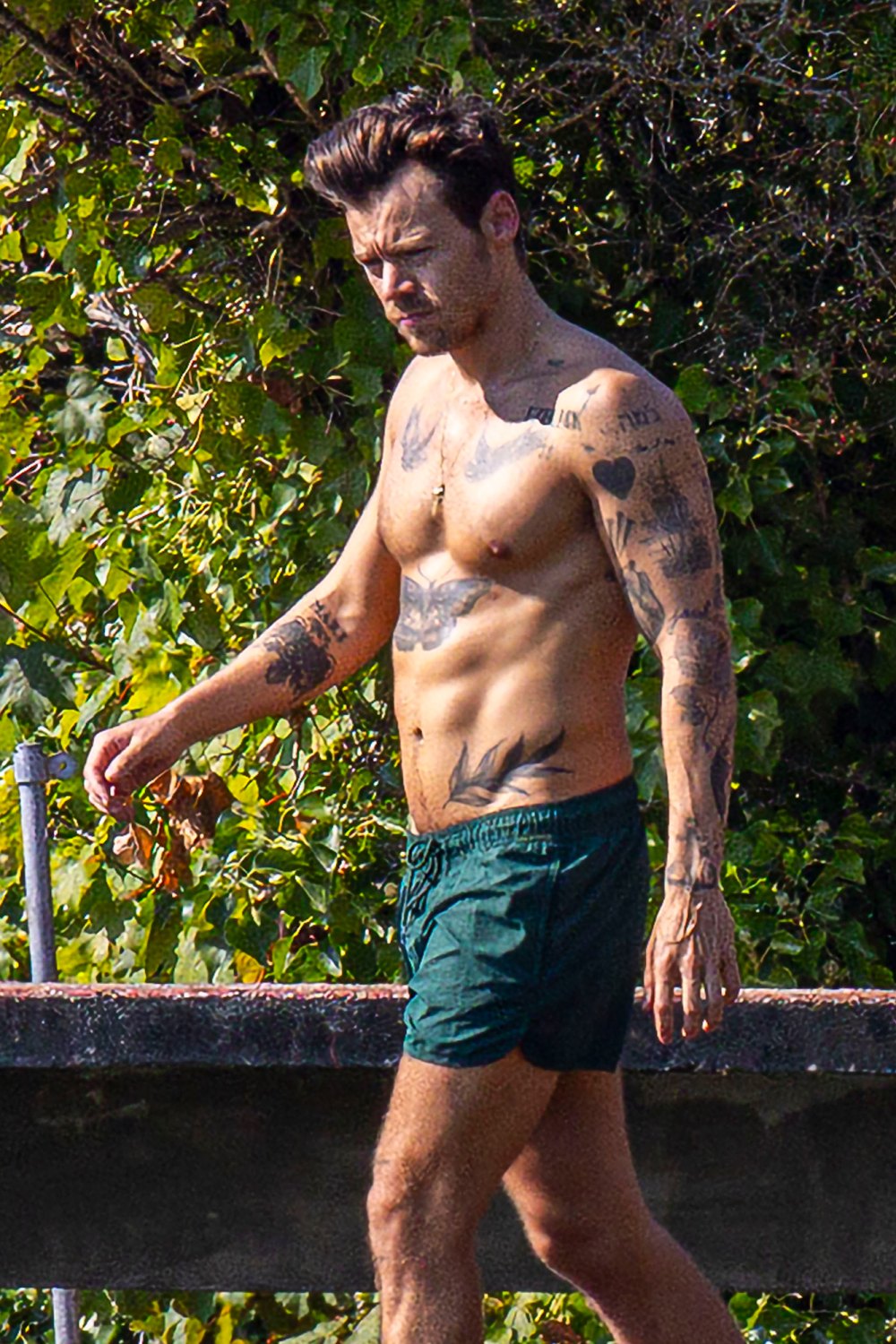 Harry Styles Flashes Toned Abs While Swimming in New Photos