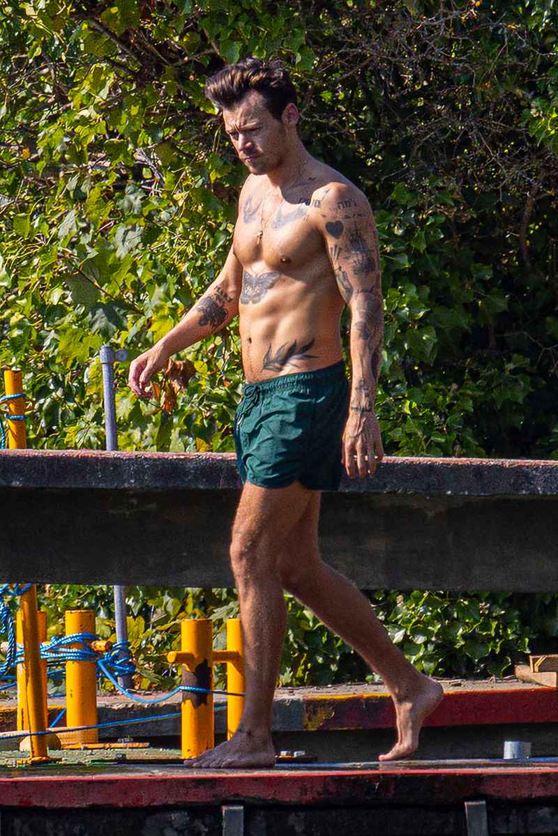 Harry Styles Shirtless Photos: The Singer's Toned Abs