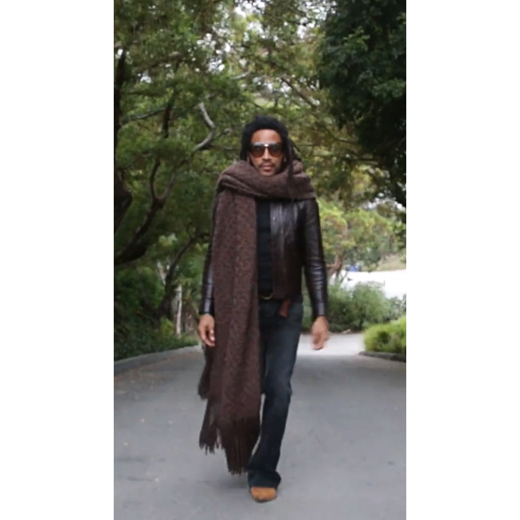 Grab your big scarf': Lenny Kravitz makes clever TikTok debut - Good  Morning America