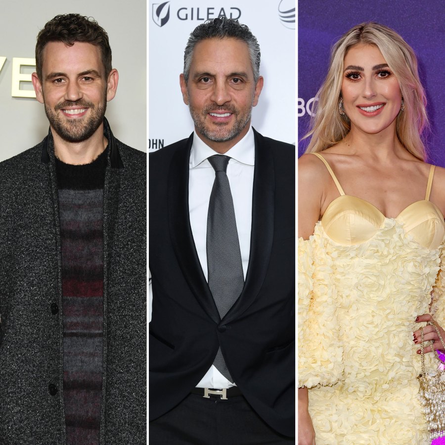 Nick Viall Theorizes Mauricio Umansky and Emma Slater Held Hands For Votes