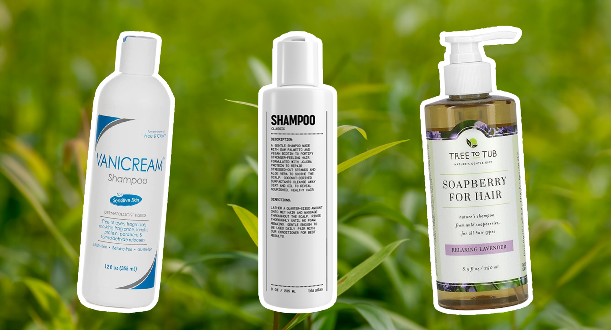 Mild shampoo deals for dry hair