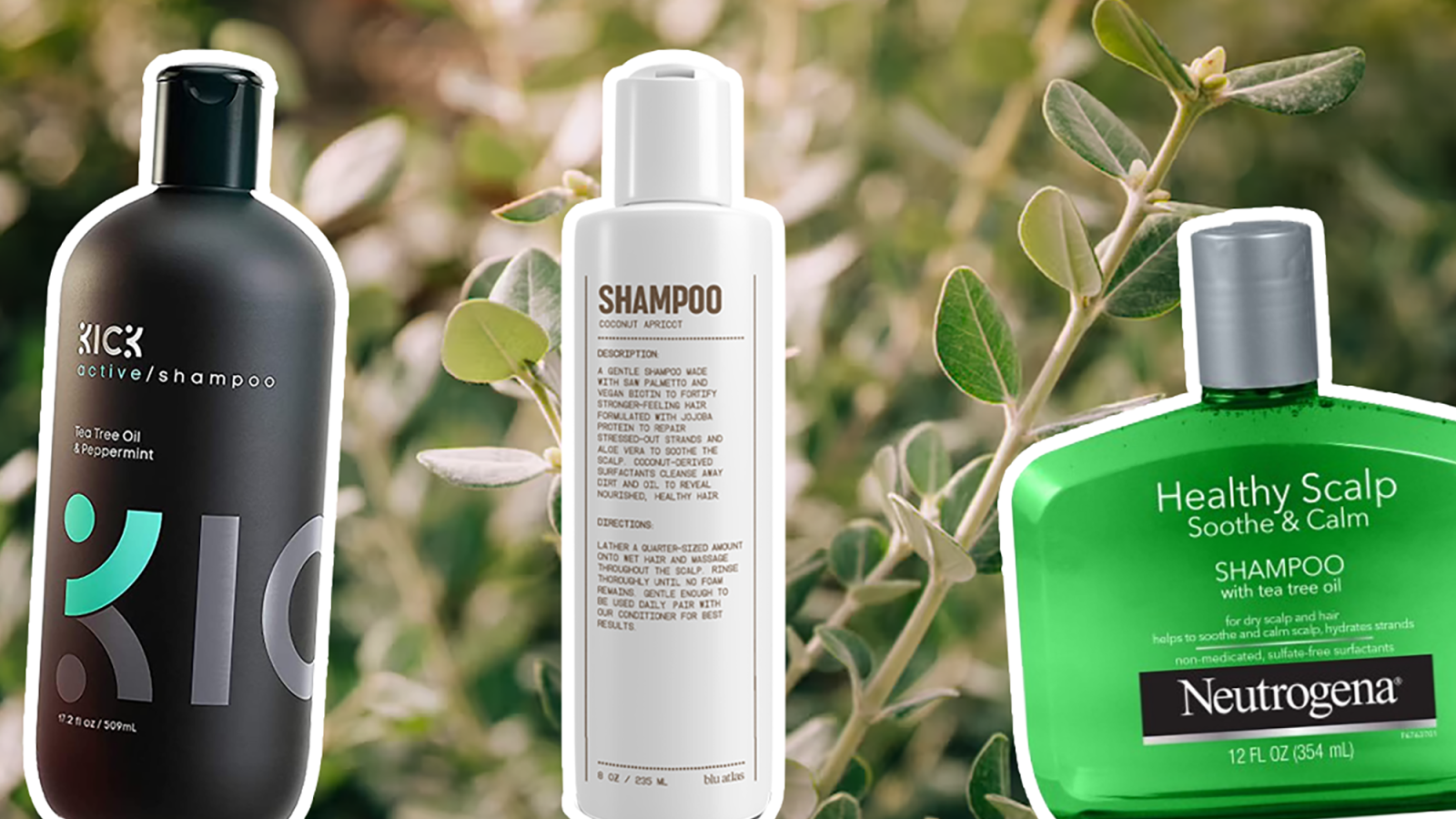 11 best shampoos for dry hair in 2024, according to experts