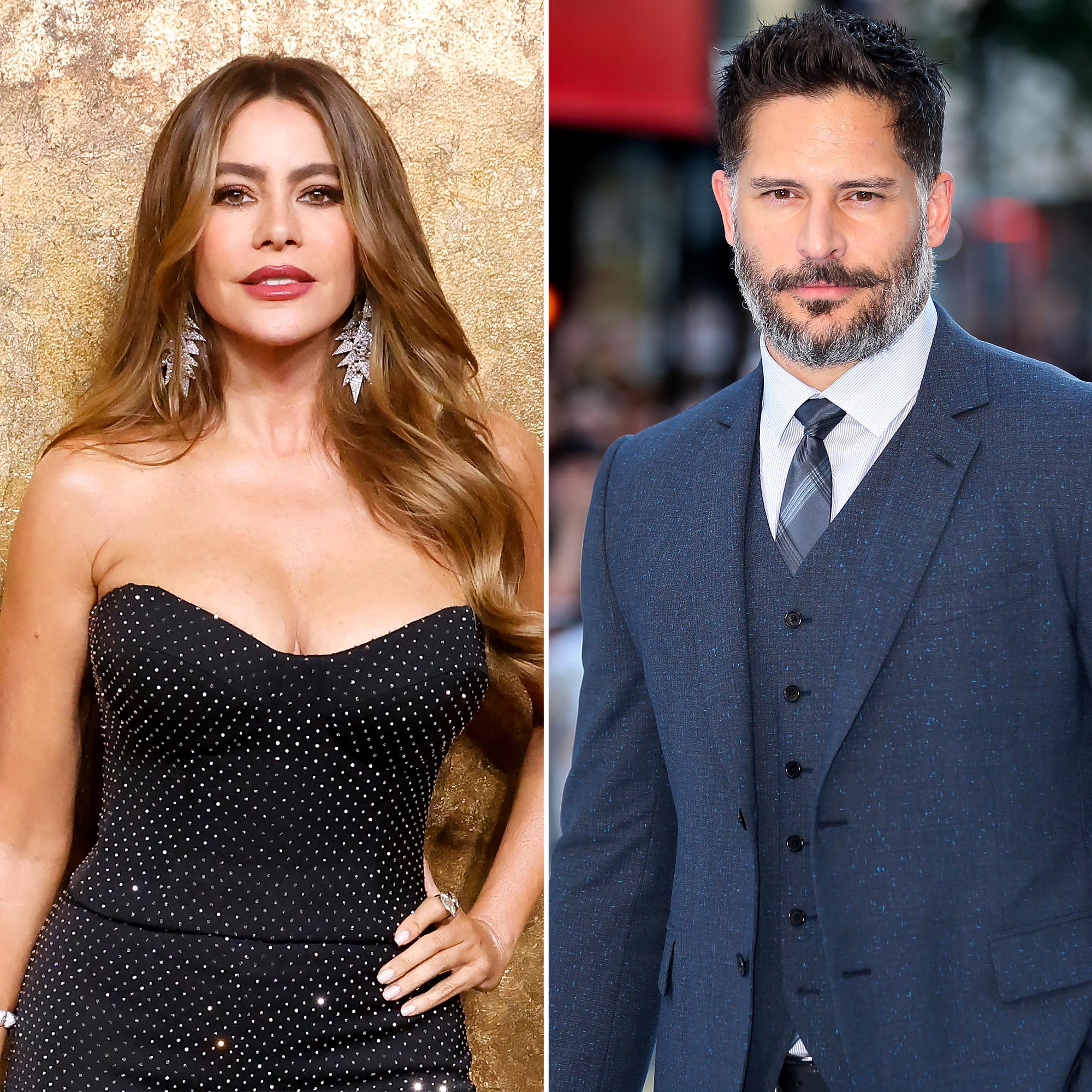 New Photo - Sofia Vergara Reveals Reason Why Her Marriage to Joe Manganiello Ended