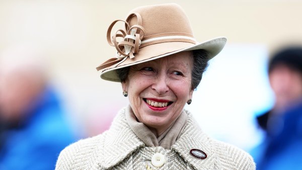 Princess Anne Wants to Appear on Strictly Come Dancing Show Dancer Reveals