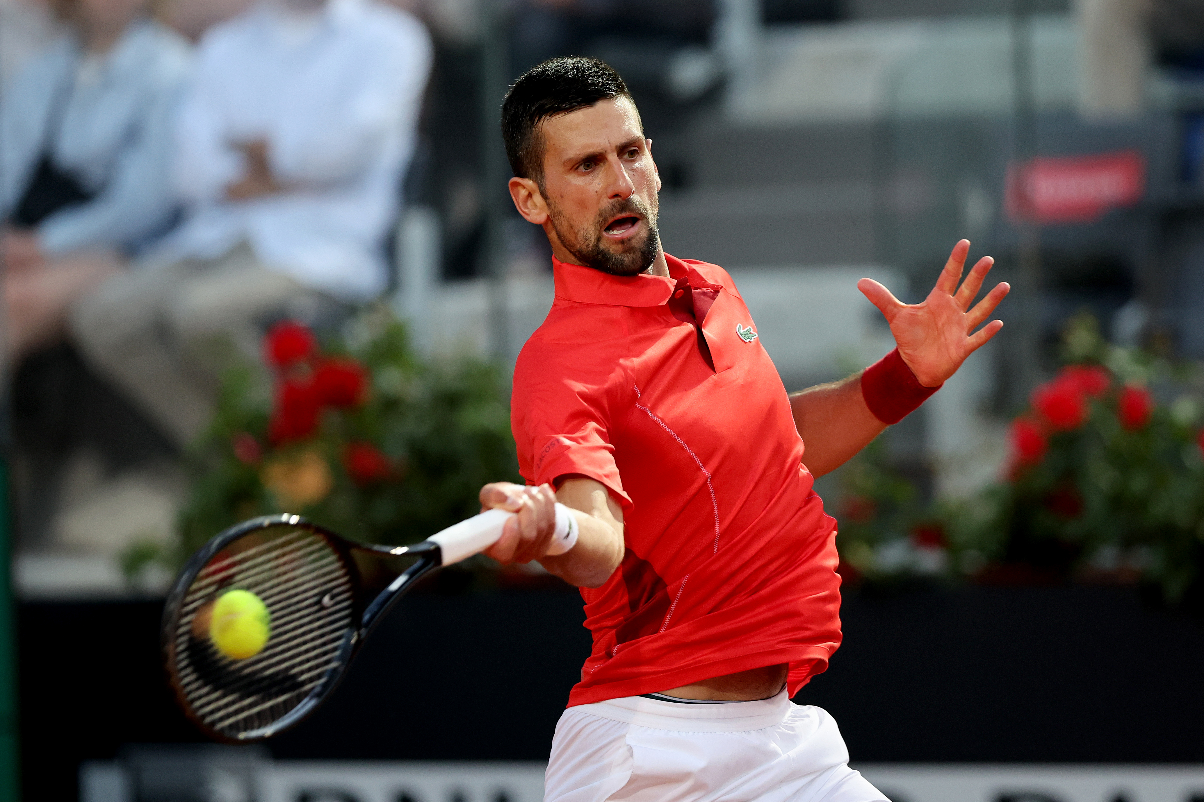 New Photo - Novak Djokovic Struck in Head by Water Bottle After Italian Open Match | 1SIMA32 | 2024-05-12 18:08:01