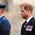 Prince Harry Won’t Attend Wedding William Is Usher At: Report