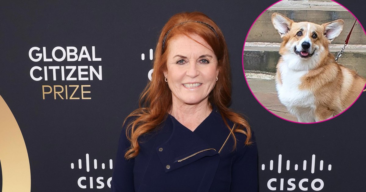 Sarah Ferguson Says Her and Queen Elizabeth’s Dogs Get Along Well