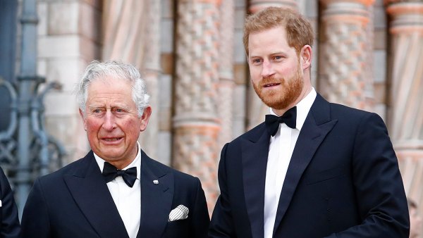 Prince Harry Reportedly Declined King Charles' Offer to Stay in Royal Residence During London Trip