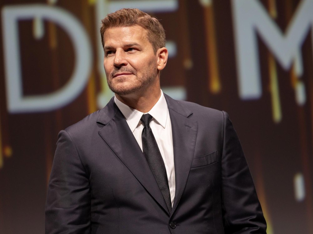 David Boreanaz Plans to Continue 27 Year TV Streak After SEAL Team Series Finale
