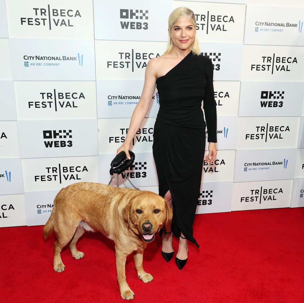 Feature Selma Blair Hits Red Carpet With Adorable Service Dog Scout at 2024 Tribeca Film Festival
