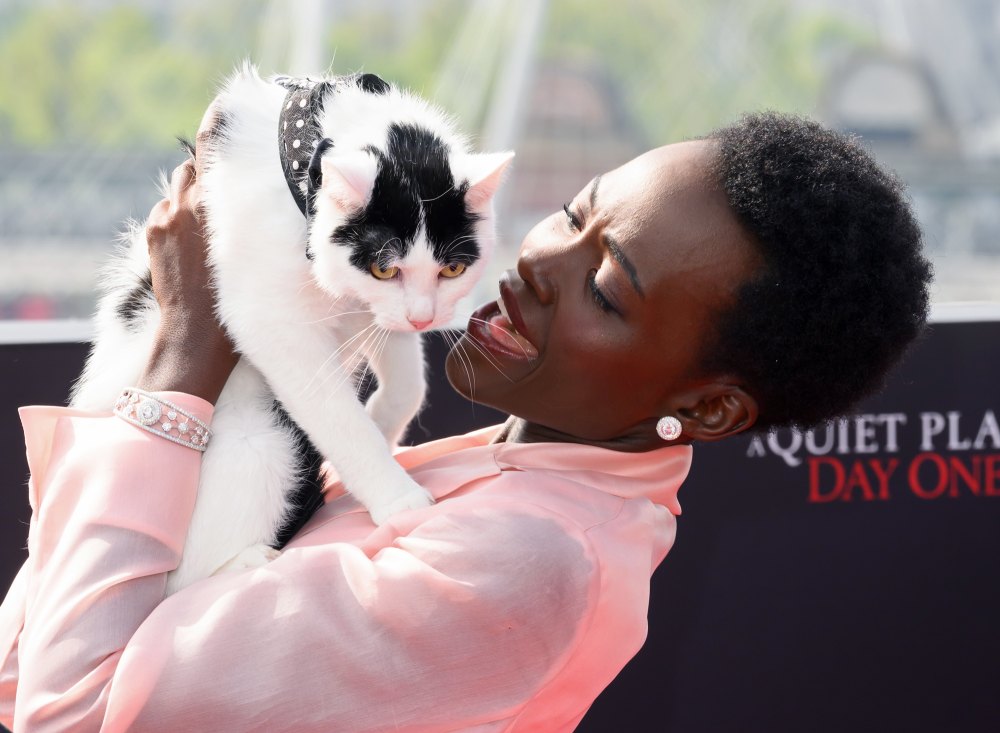 Lupita Nyong o Underwent Cat Therapy for A Quiet Place Day One