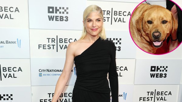 Promo Selma Blair Hits Red Carpet With Adorable Service Dog Scout at 2024 Tribeca Film Festival