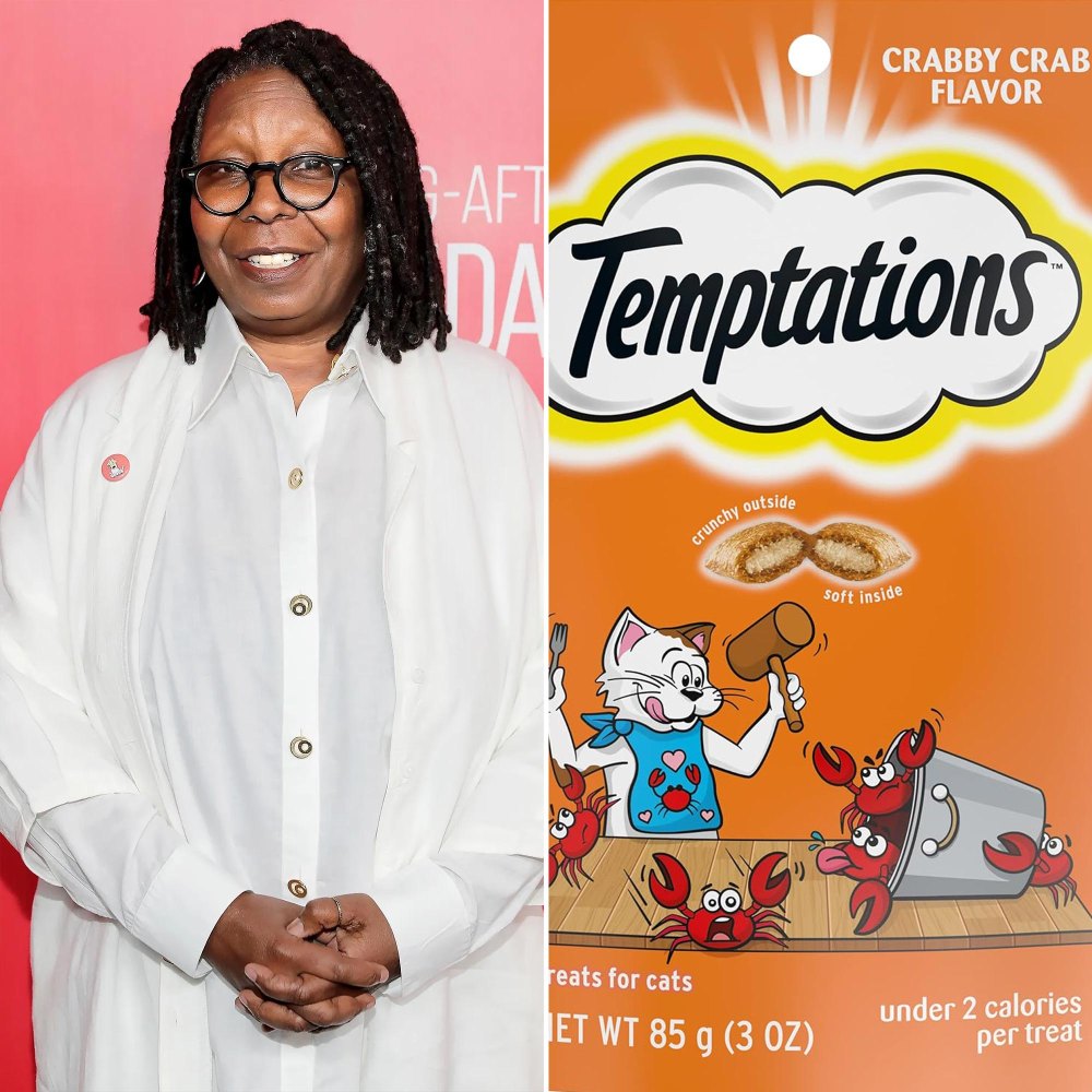 Whoopi Goldberg Ate a Bag of Cat Treats Thinking They Were Pretzels After Meeting the Pope