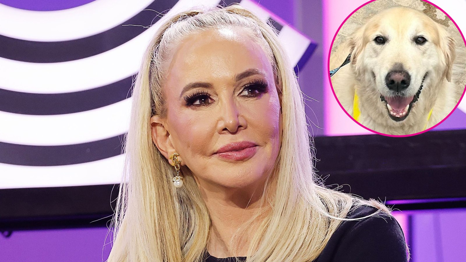 RHOC's Shannon Beador Says Dog Archie 'Will Be OK' After Being Attacked and Bitten by Another Dog