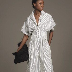 The Tobie Button-Front Pleated Shirt Dress by Exquise