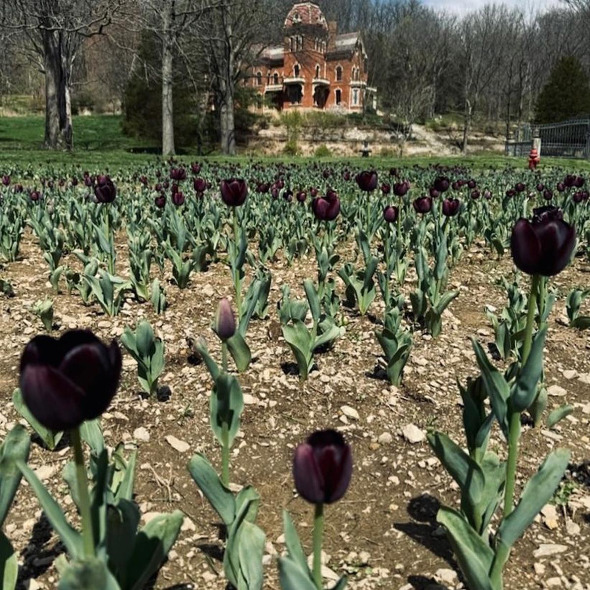 Kat Von D beschreibt detailliert das „Polar Opposite“-Leben in Indiana, der „Tiny Town“ von 1200