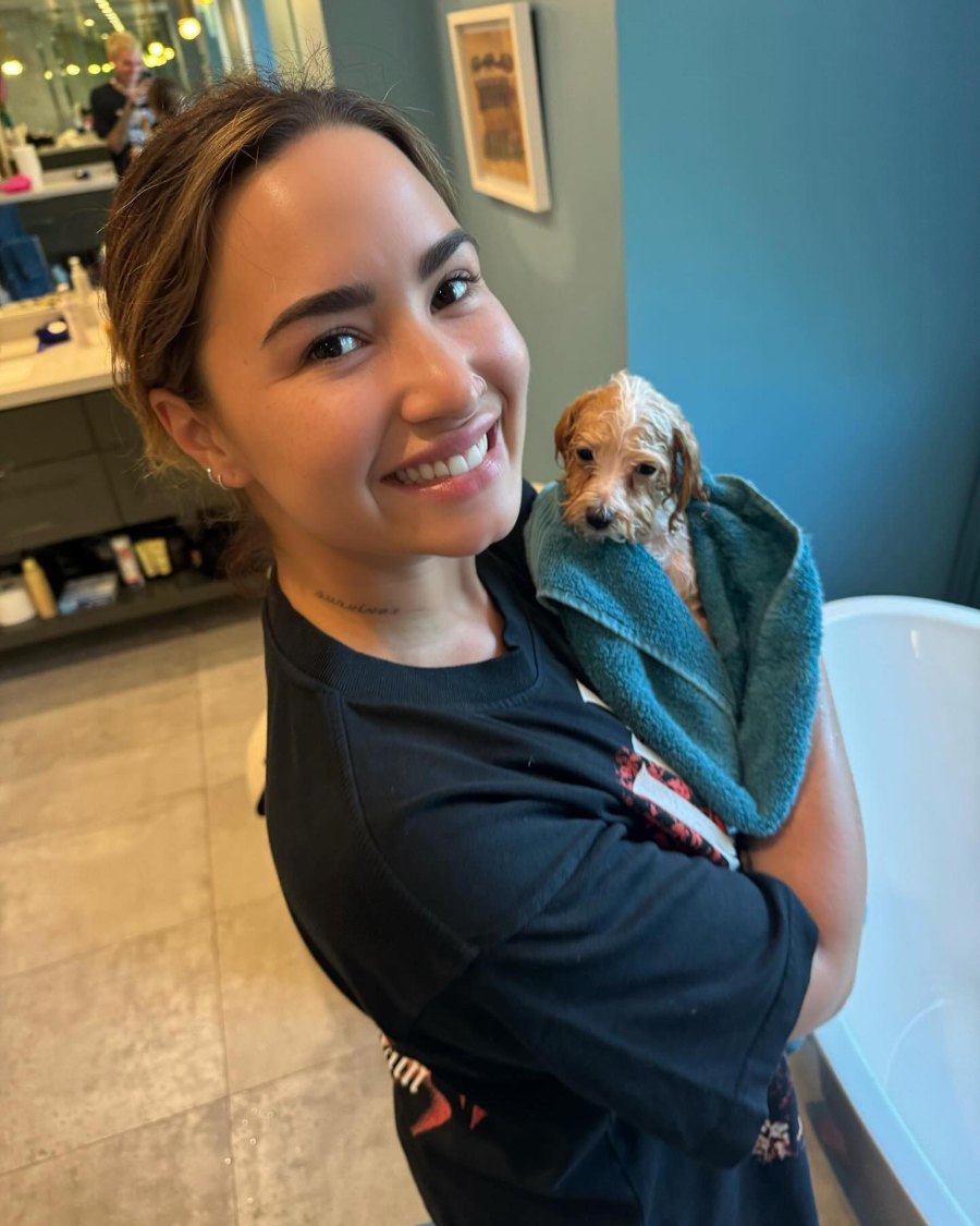 Celebrities Who Have Pets With Food-Inspired Names Demi Lovato