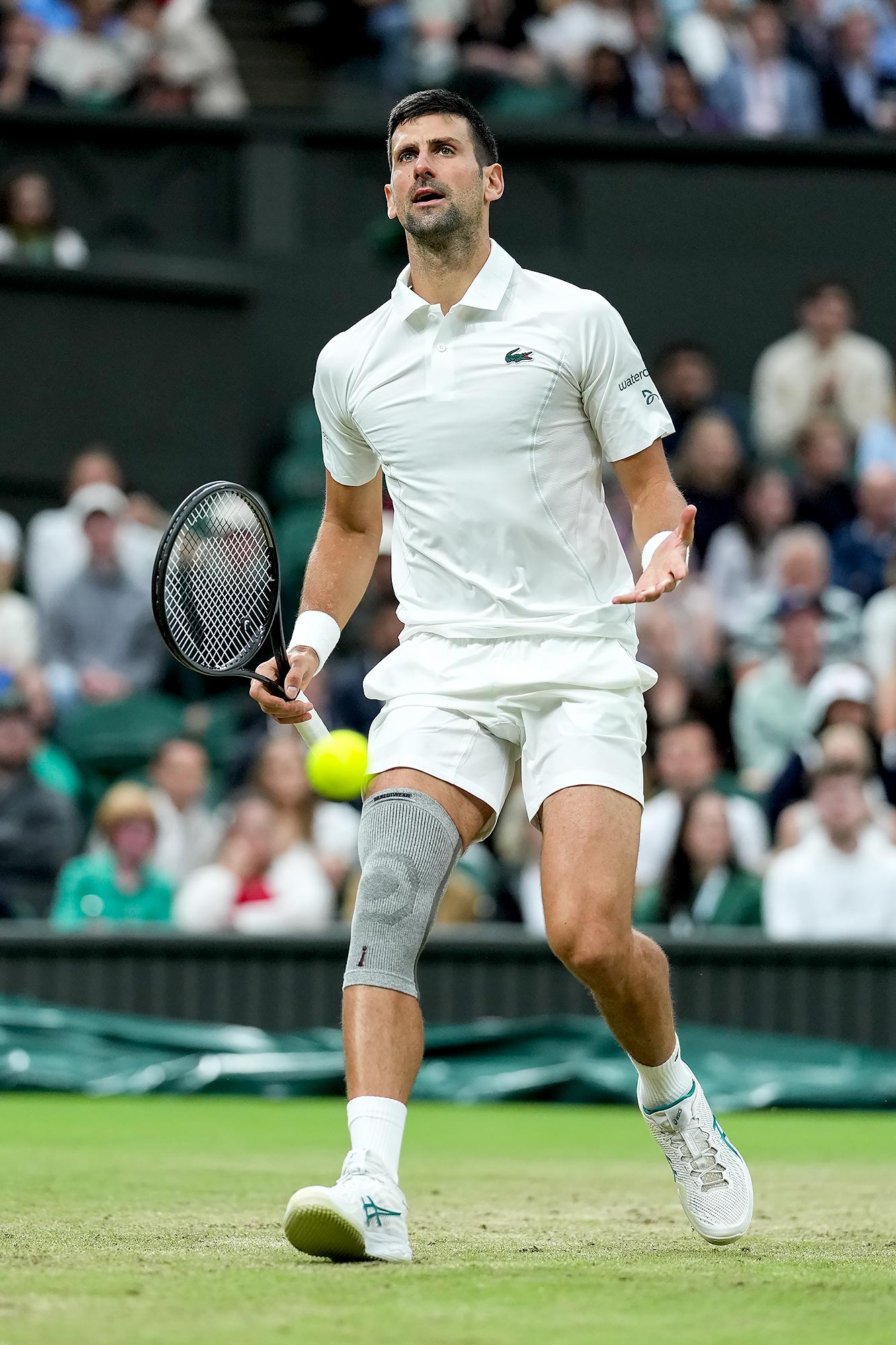 Novak Djokovic diz que o pickleball está tornando o tênis um esporte “em perigo”