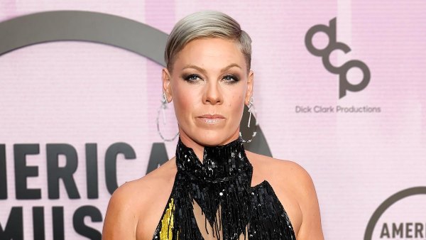Pink Apologizes for Canceling Her Show: ‘I’ve Been Advised That I Am Unable to Continue’