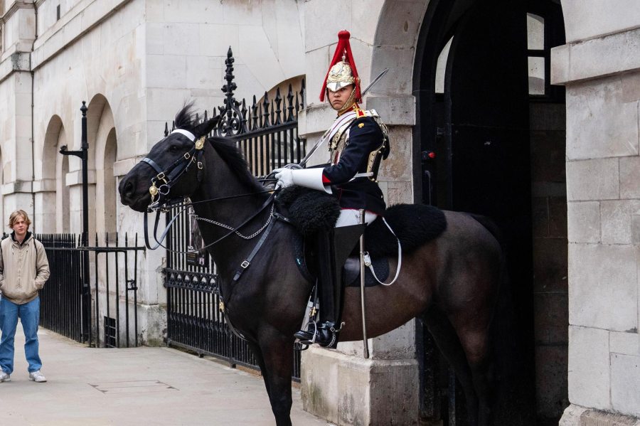 King Charles’ Guard Horse Bites Tourist Posing For a Photo at London Museum