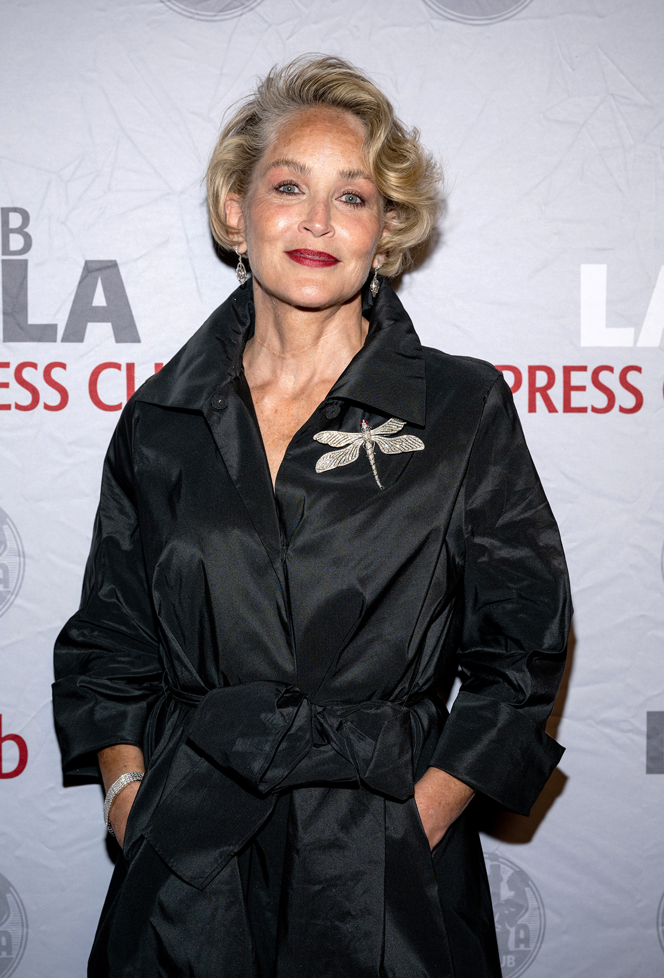 Sharon Stone Says She Lost $18 Million in Savings After Her 2001 Stroke