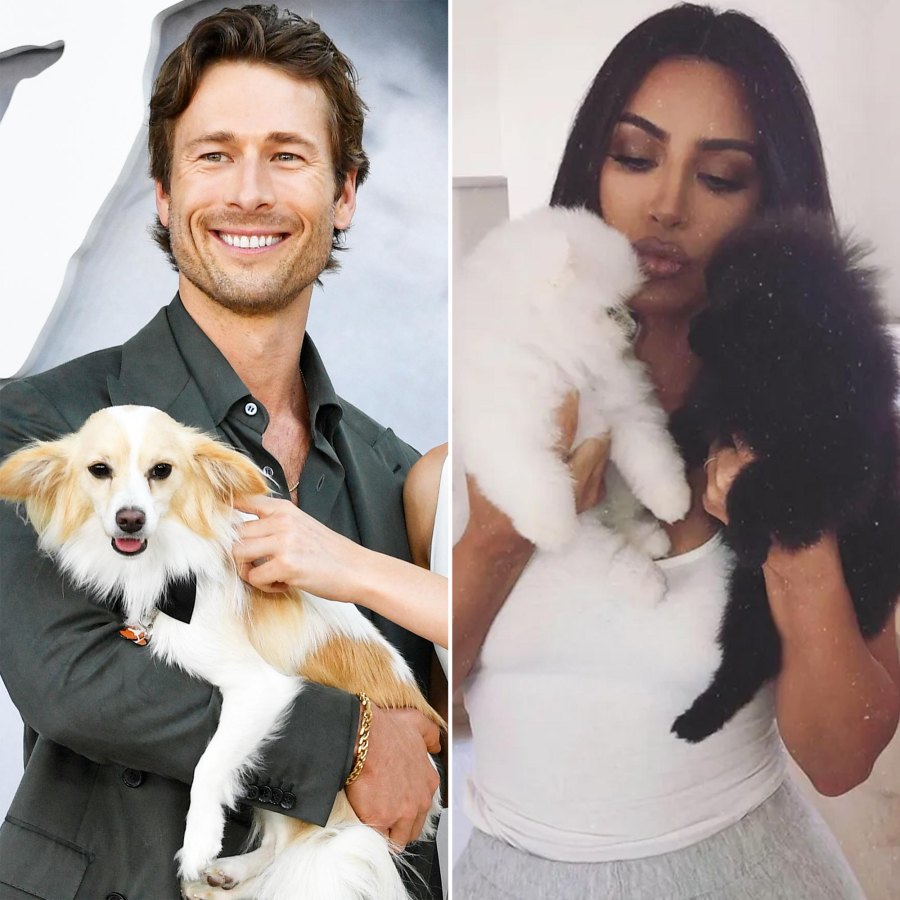 Celebrities Who Have Pets With Food Inspired Names