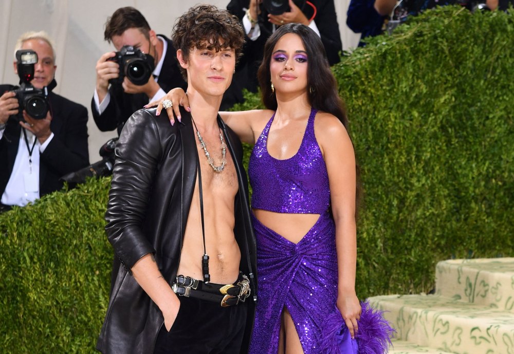 Camila Cabello and Shawn Mendes Spotted Together at Copa America Final