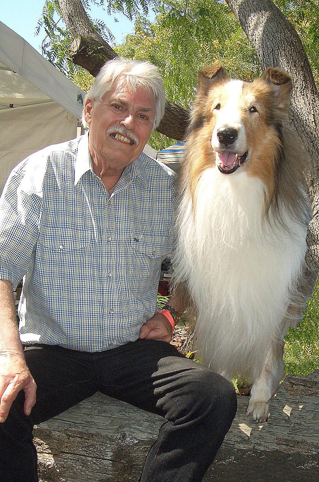 ラッシーの長年の飼い主兼トレーナー、ボブ・ウェザーワックス氏が83歳で死去