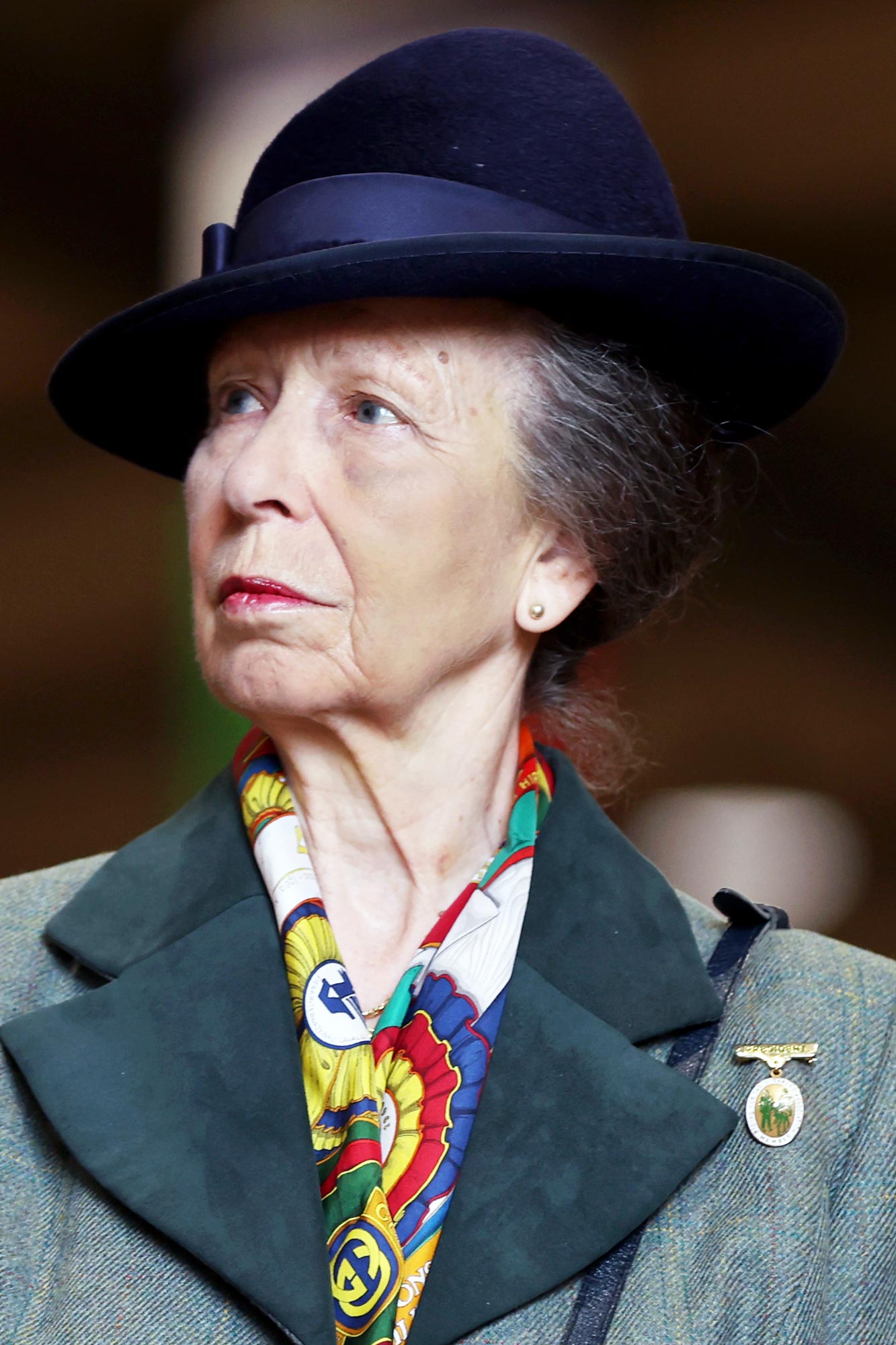 Princess Anne Resumes Duties Weeks After Celebrating 74th Birthday