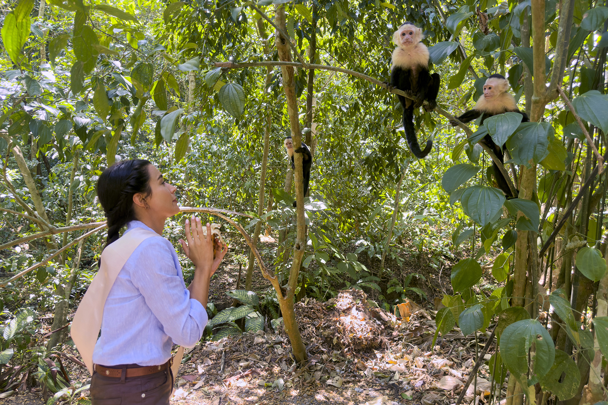 As estrelas de 'Um casamento na Costa Rica' da Hallmark brincam sobre seu 'vínculo traumático'