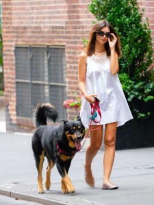 Emily Ratajkowski Nightgown