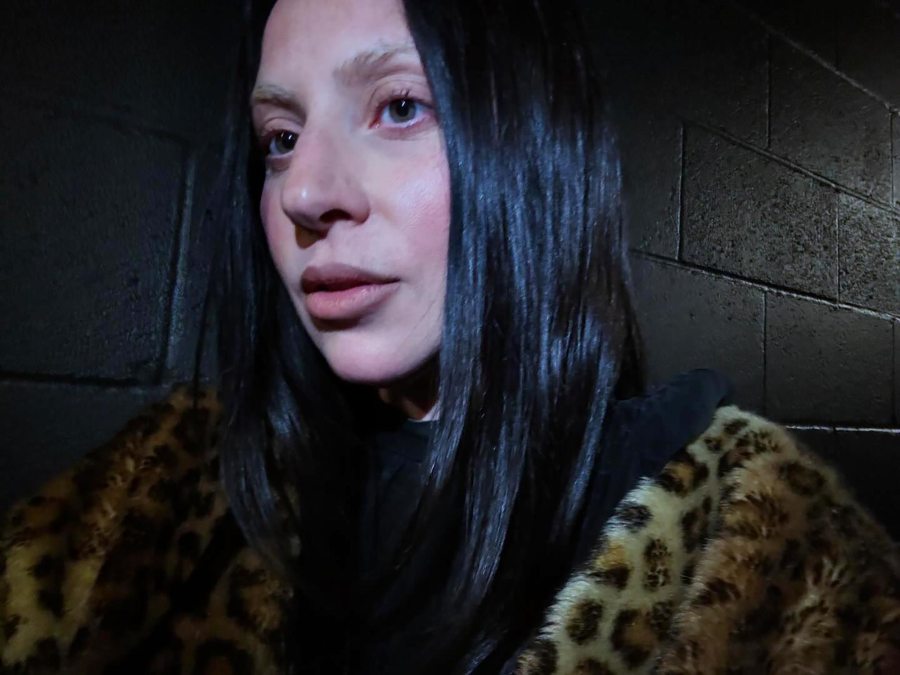 Lady Gaga Ditches Her Signature Blonde Locks for Cool Brunette Makeover