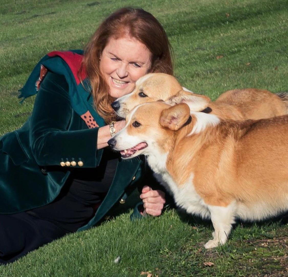 사라 퍼거슨(Sarah Ferguson)은 국제 개의 날(International Dog Day)을 맞아 엘리자베스 여왕의 코기스를 축하합니다.