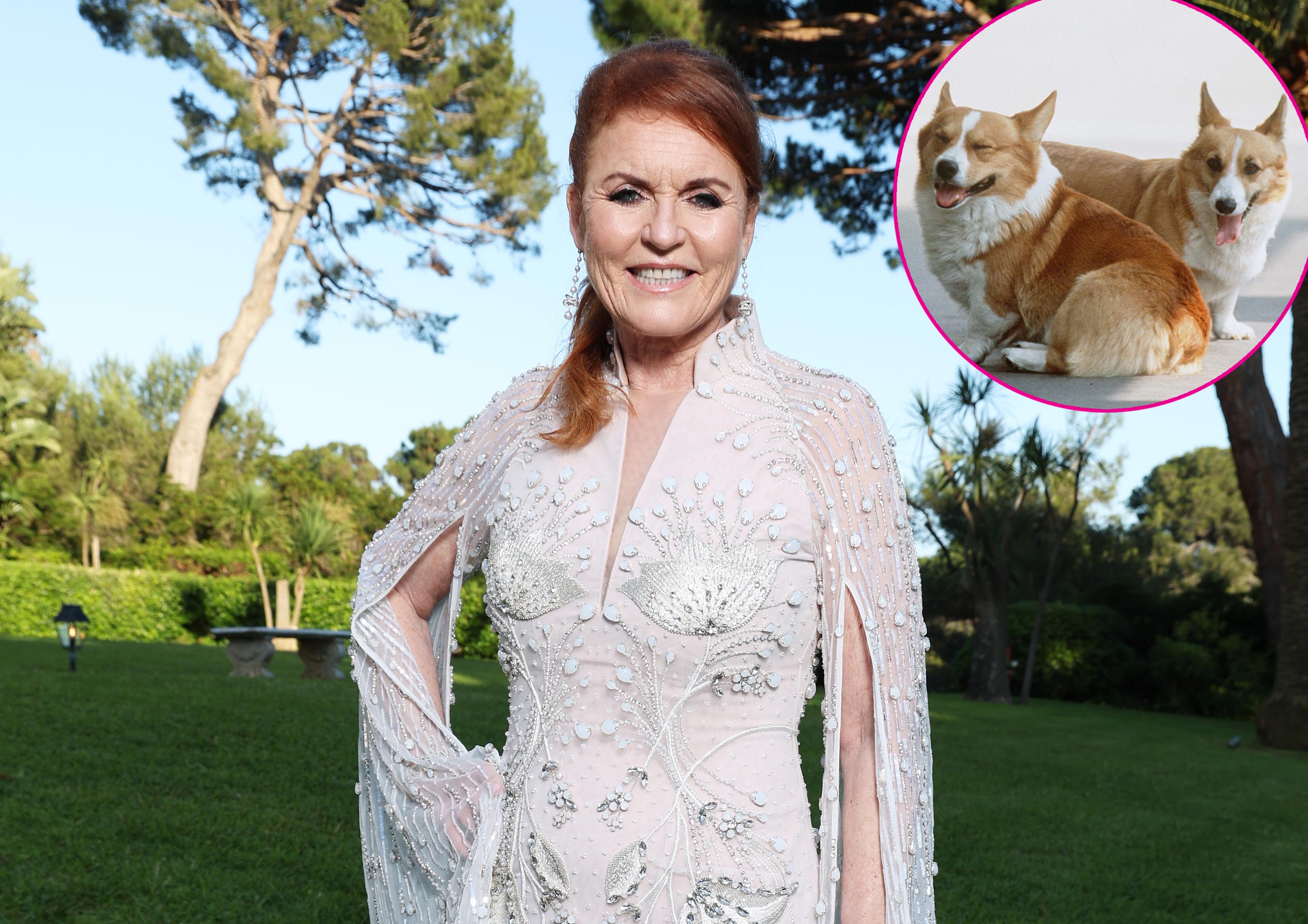 Sarah Ferguson feiert am Internationalen Tag des Hundes die Corgis von Königin Elizabeth