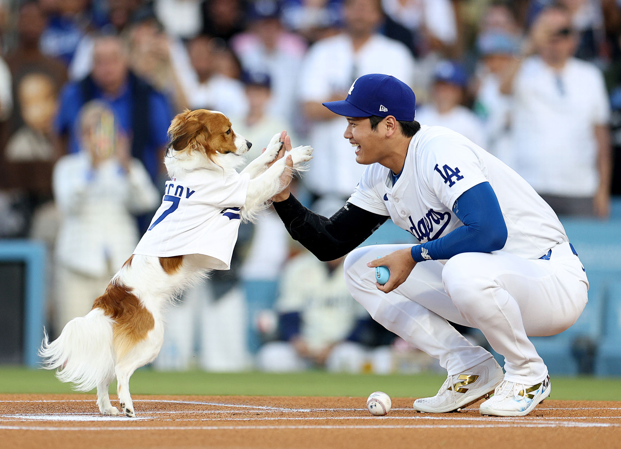 Shohei Ohtanis Hund warf den ersten Pitch bei der Bobblehead Night der Dodgers