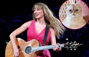 Swifties Are Convinced They Heard Taylor's Cat Meow on Travis' New Podcast